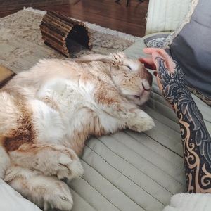 Meet your Posher, Brandon